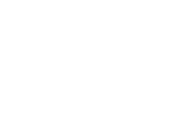 Pollak Web Consulting logo